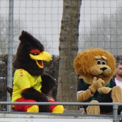 Wedstrijdverslag: SVZ JO9-1 vs. NIC. BOYS JO9-2